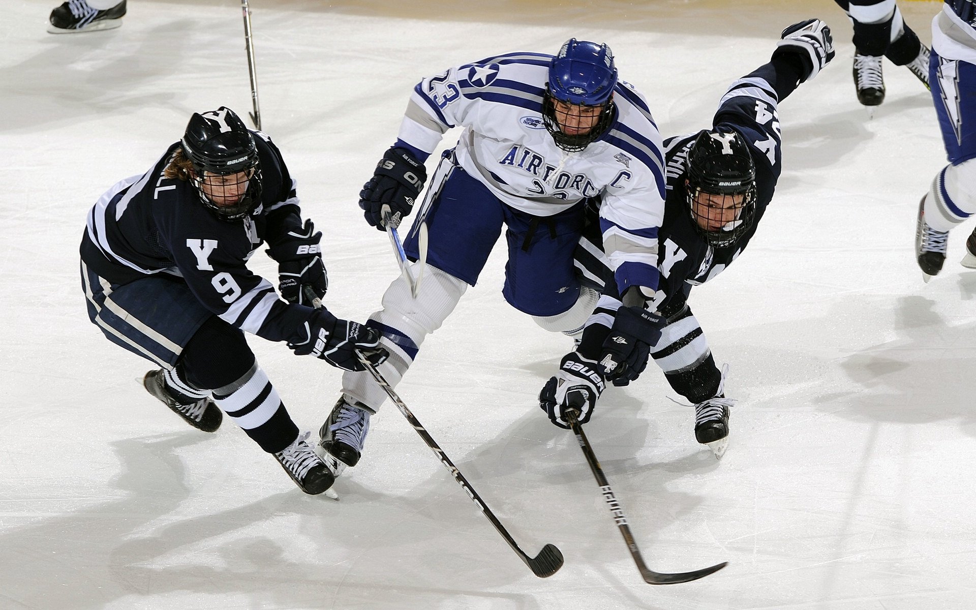 南非橄榄球的青训体系为世界橄榄球培养顶级球员,南非橄榄球冠军